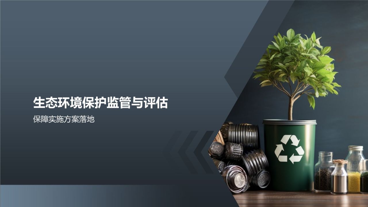【标题】生态环境保护实施方案