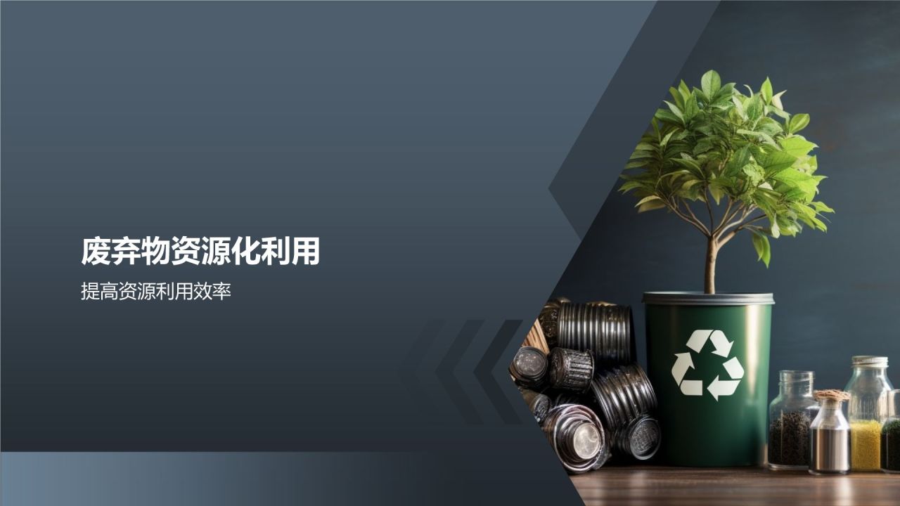 【标题】生态环境保护实施方案