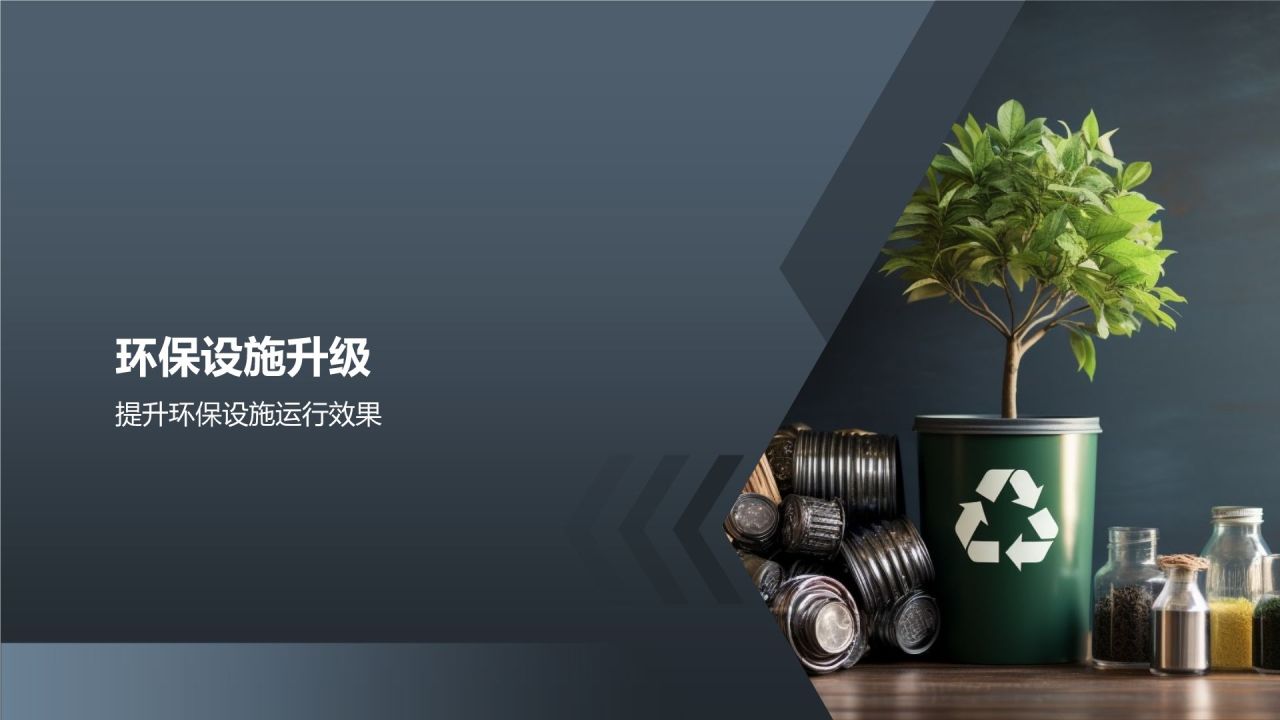 【标题】生态环境保护实施方案