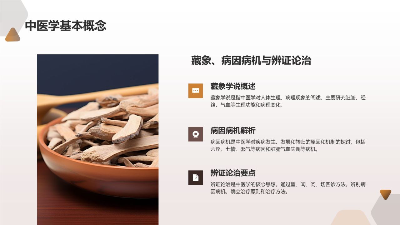 中医培训模板