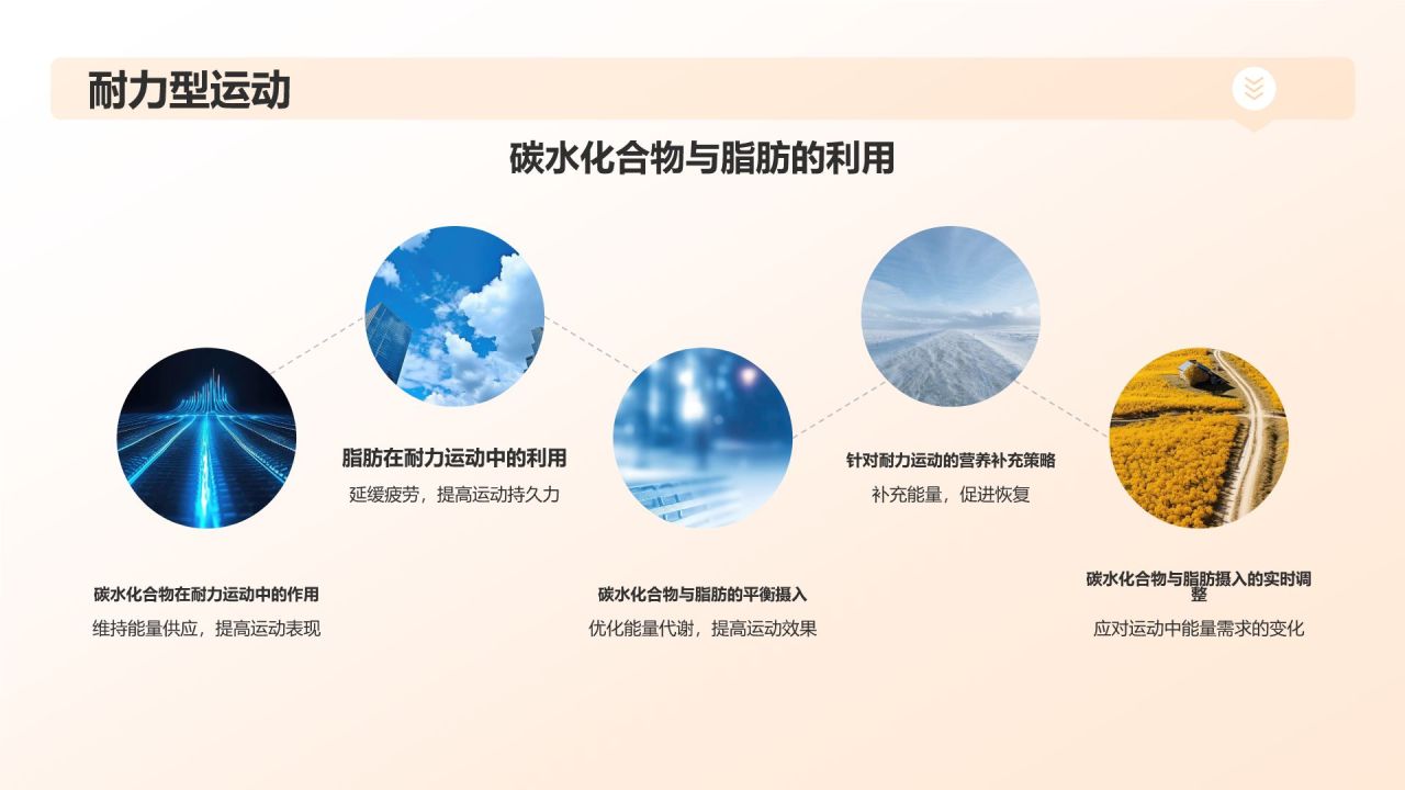 【运动营养学】