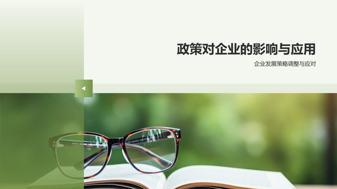 教育培训政策解读
