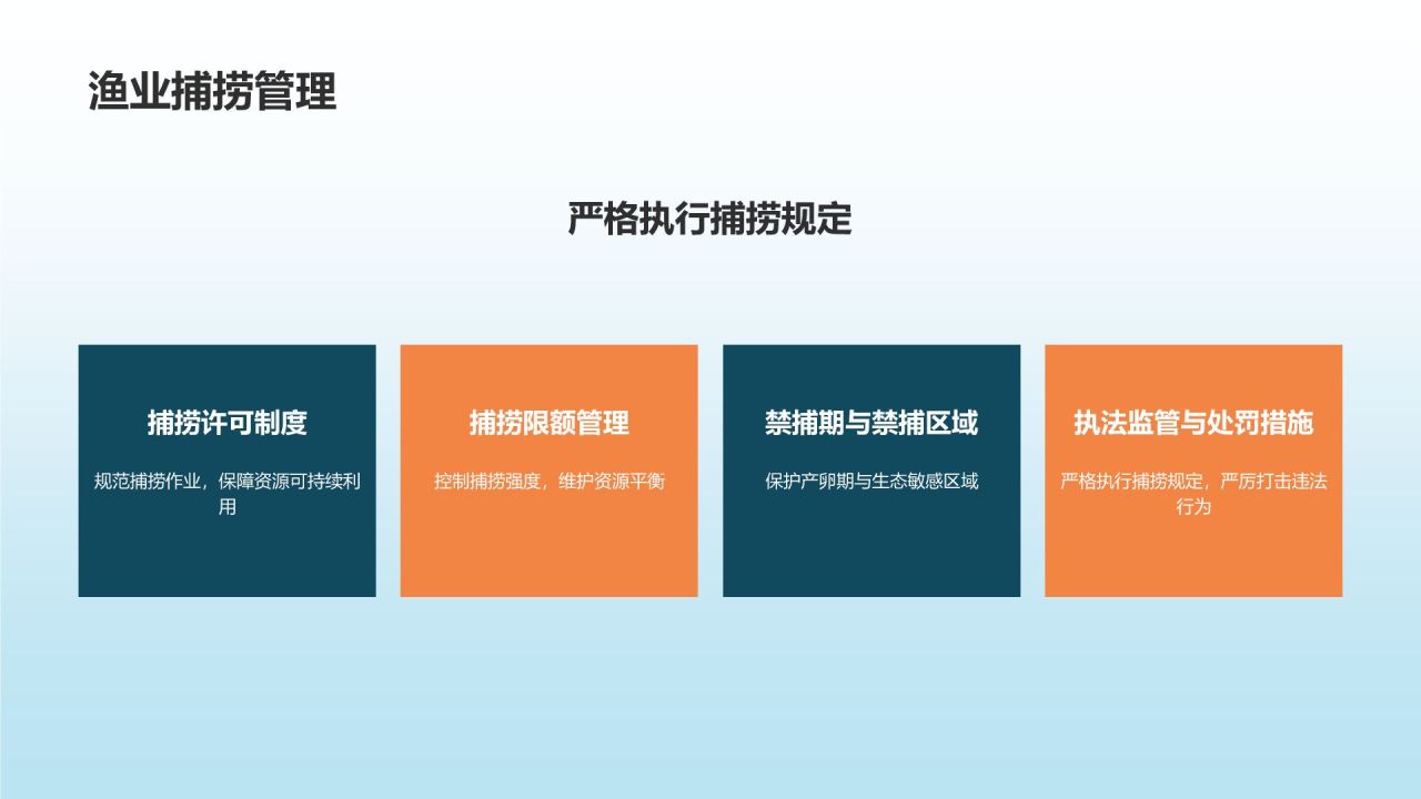渔业年度工作总结