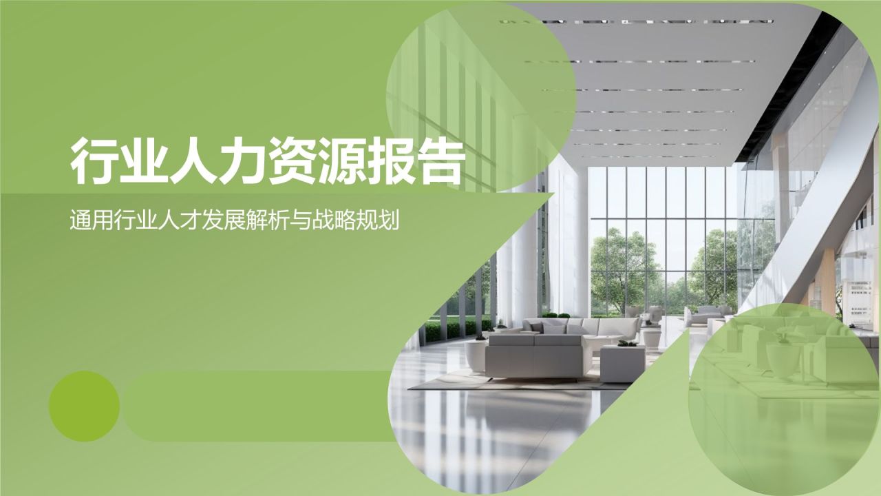 行业人力资源报告