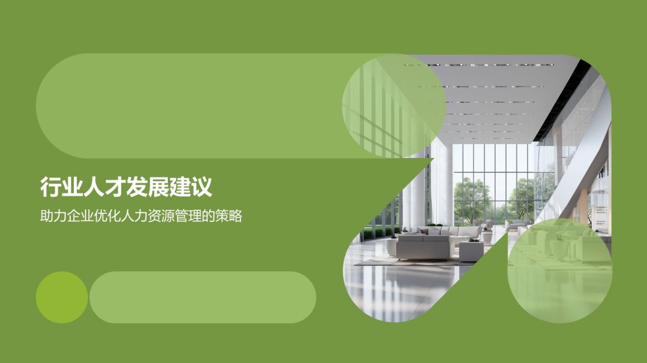 行业人力资源报告