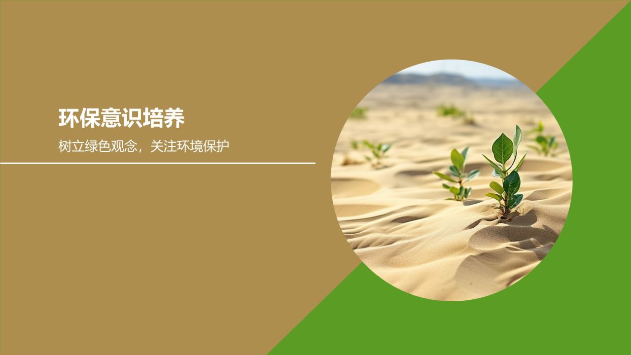环保实践活动