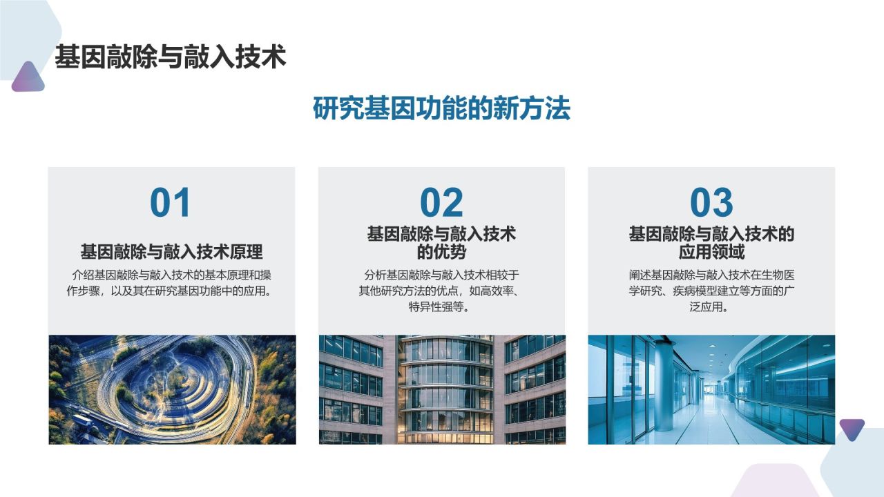 生物医疗培训课件：掌握前沿技术