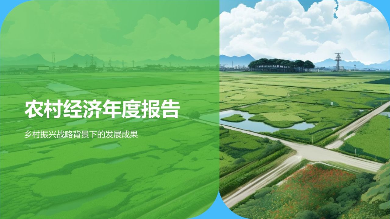 农村经济年度报告