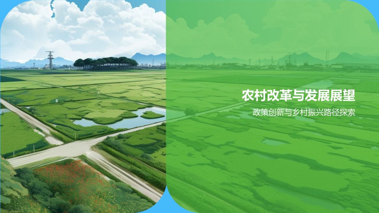 农村经济年度报告