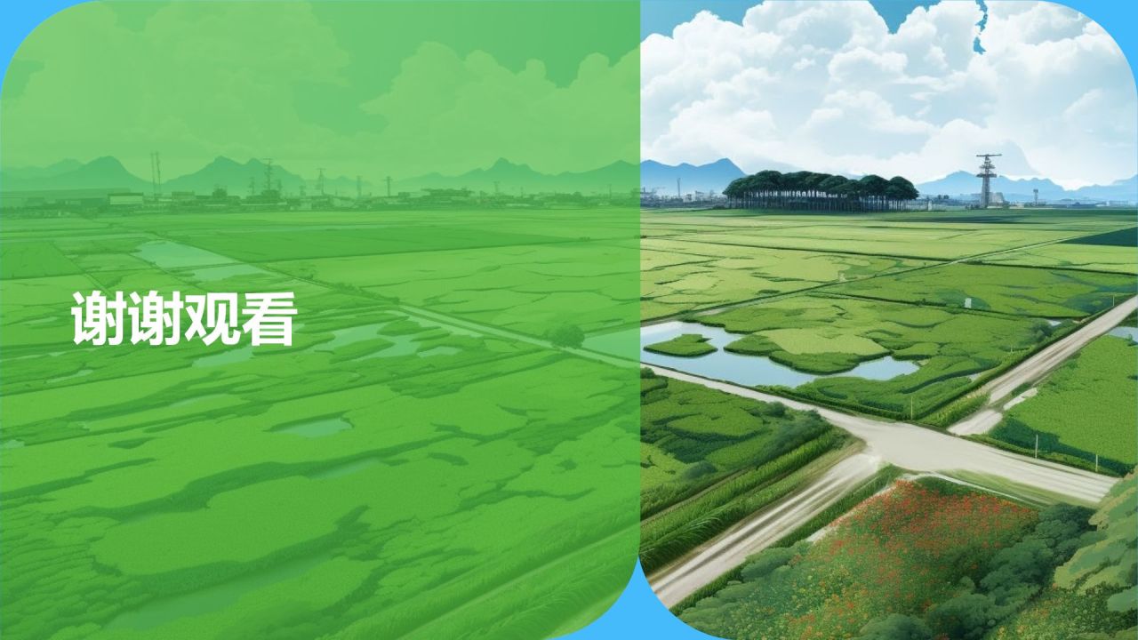 农村经济年度报告