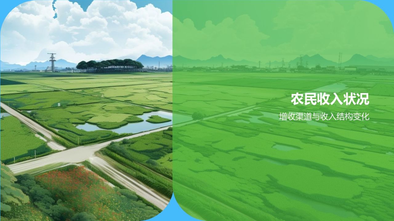 农村经济年度报告