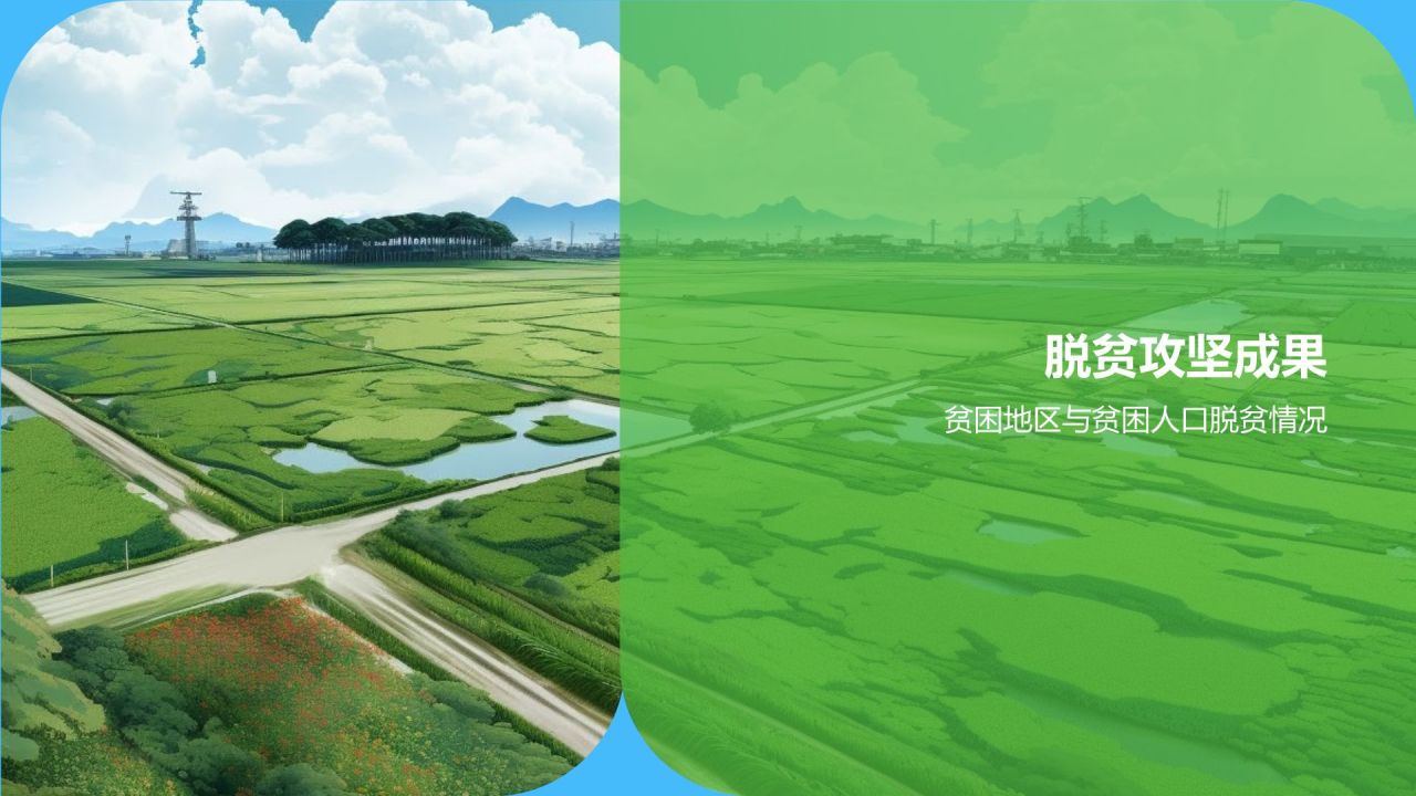 农村经济年度报告