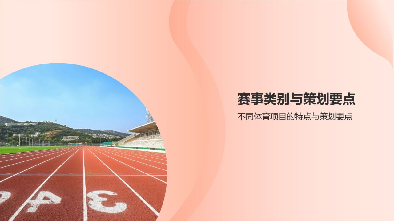 体育赛事策划专家