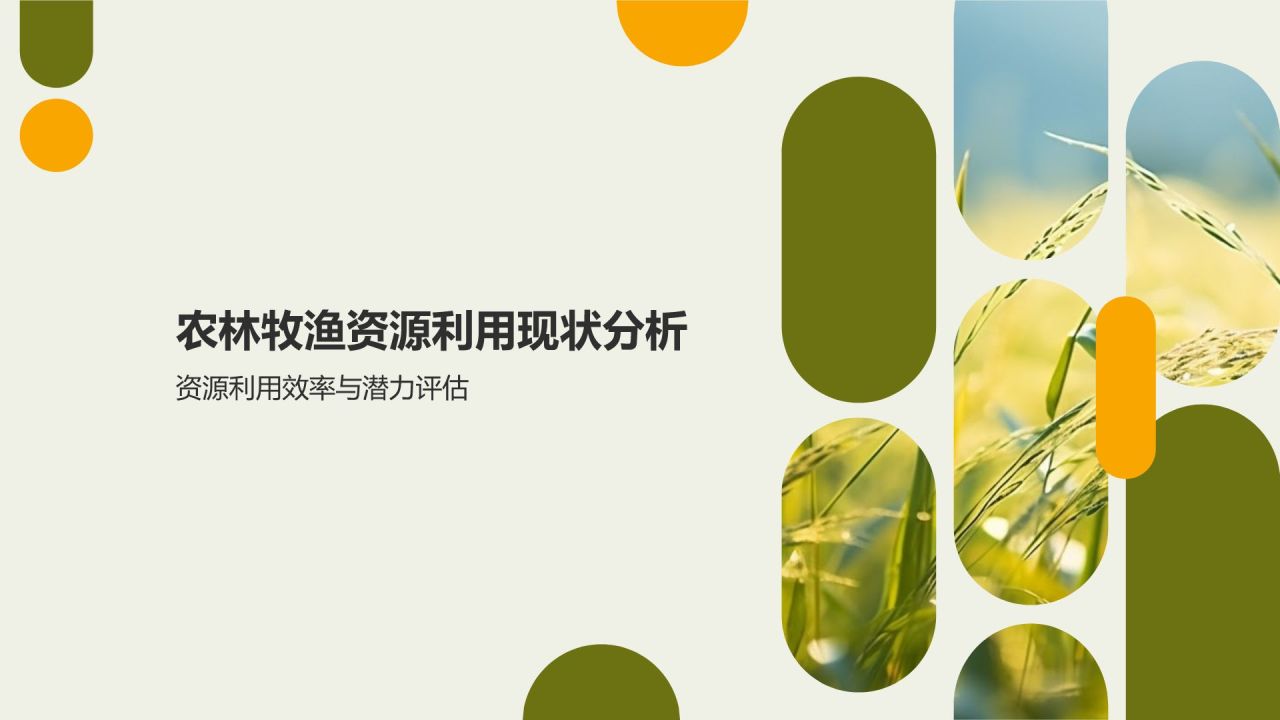 农林牧渔资源利用与生态环境保护