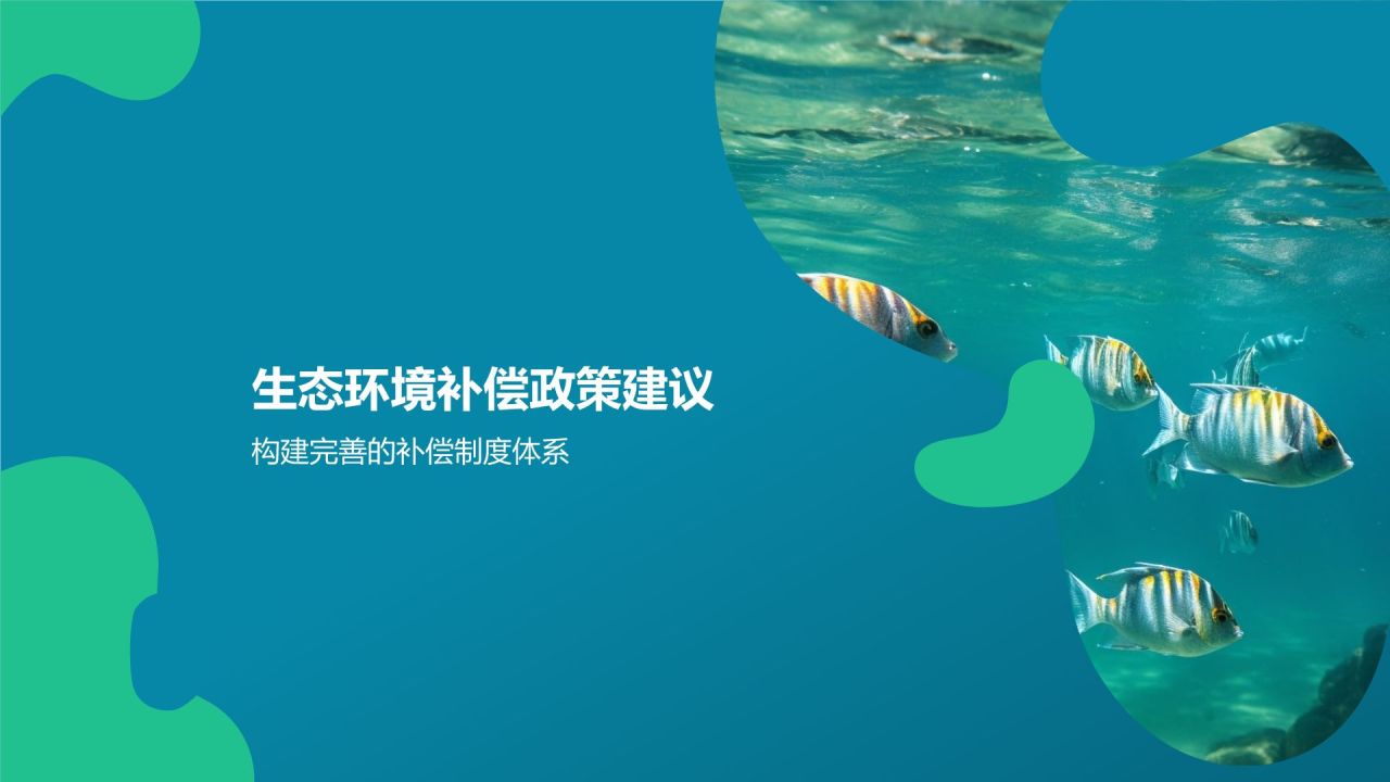 生态环境补偿研究