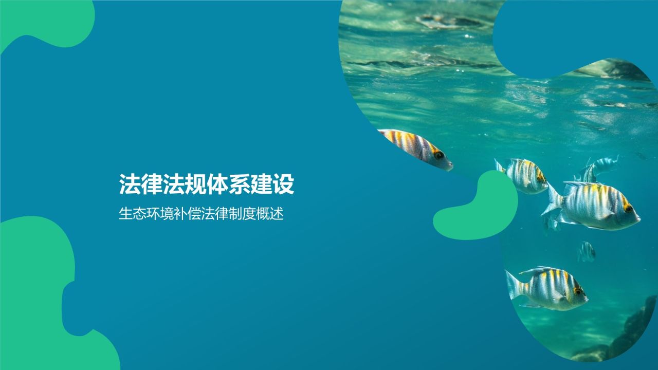 生态环境补偿研究