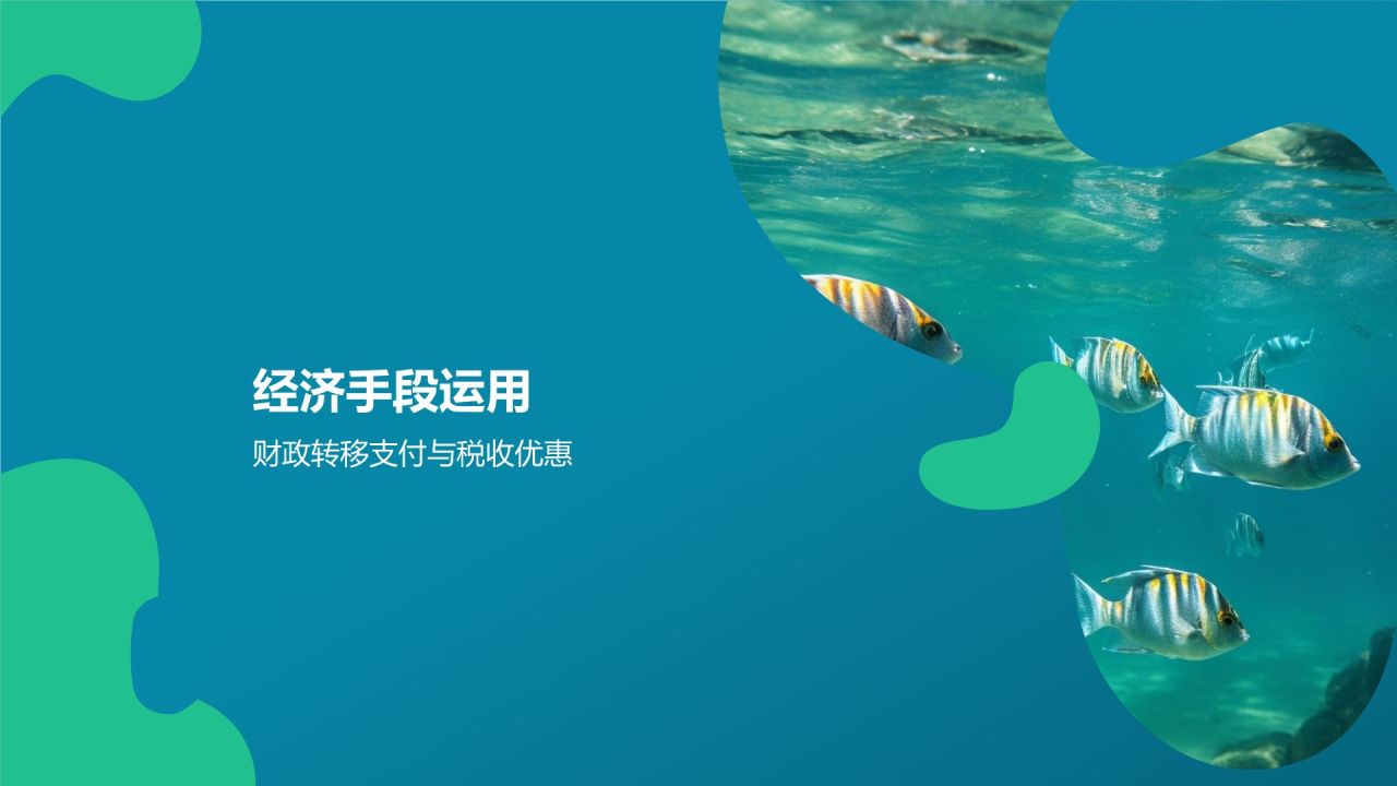 生态环境补偿研究