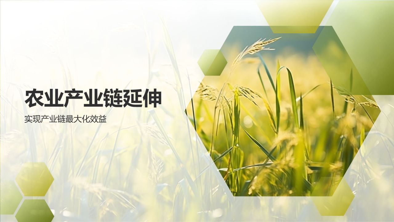 农业产业链延伸