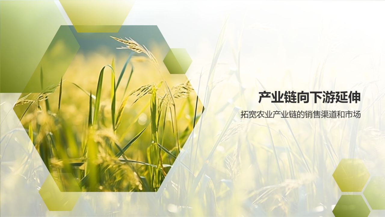农业产业链延伸