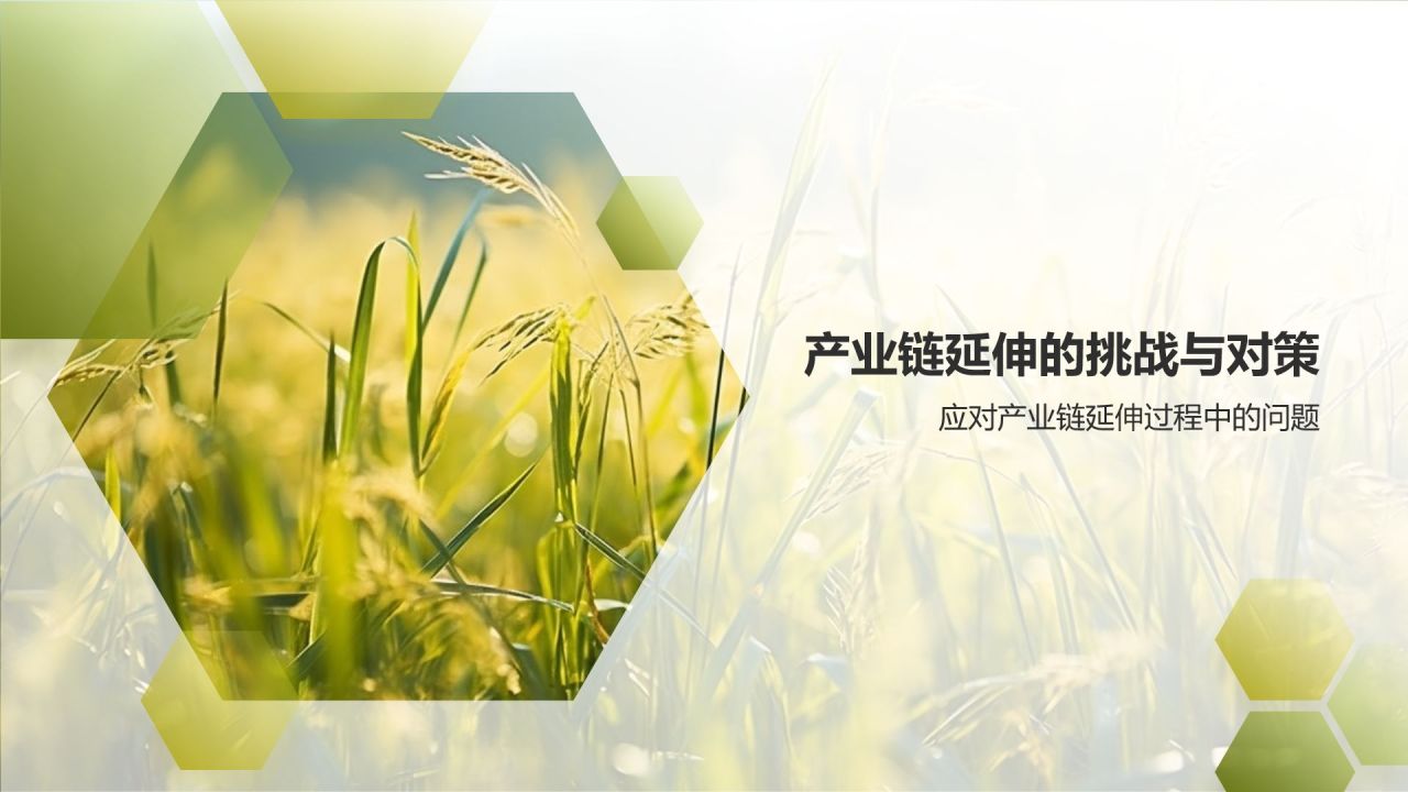 农业产业链延伸