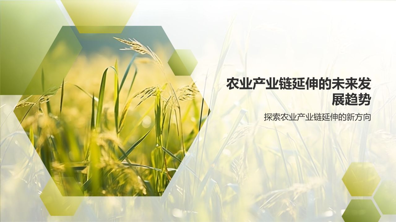 农业产业链延伸
