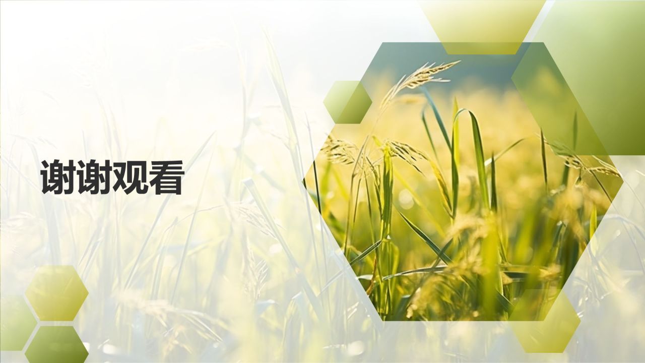 农业产业链延伸