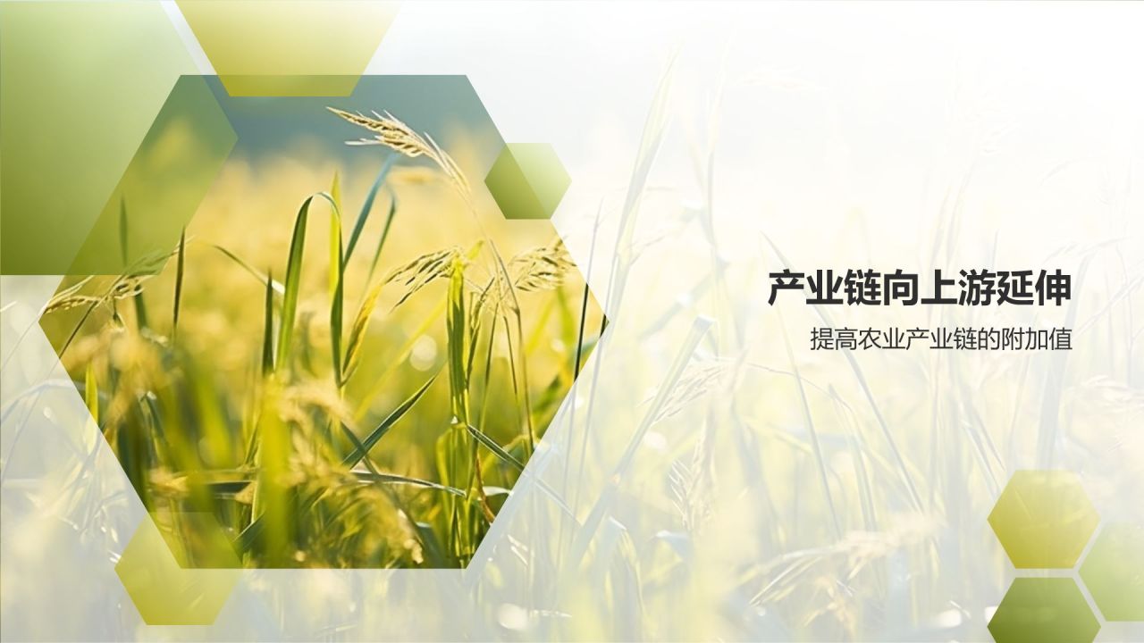 农业产业链延伸