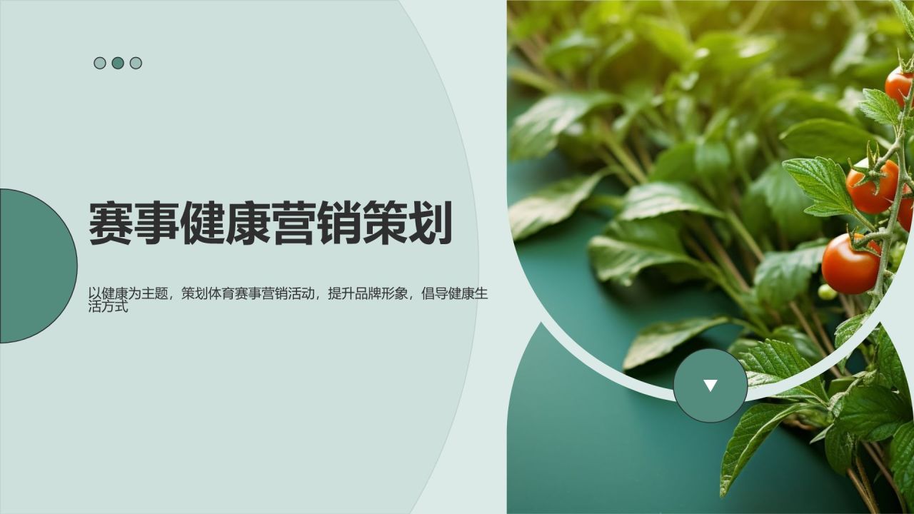 赛事健康营销策划
