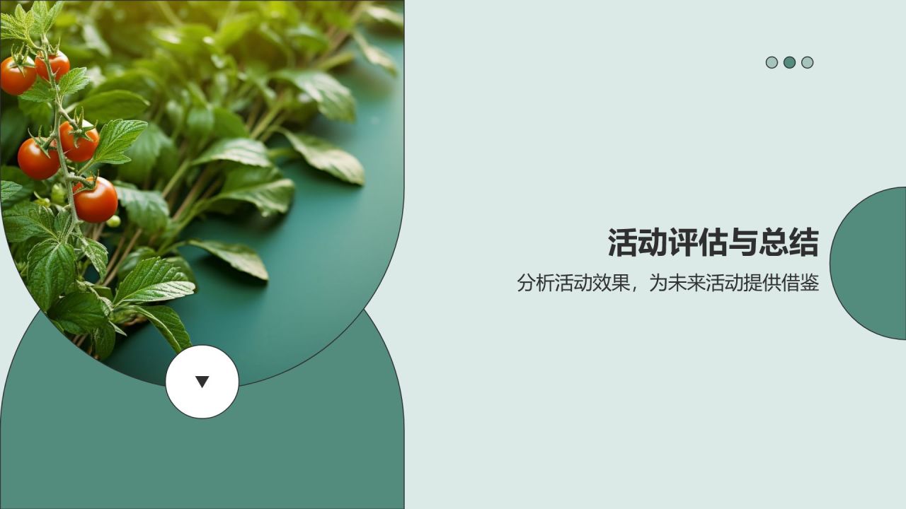 赛事健康营销策划
