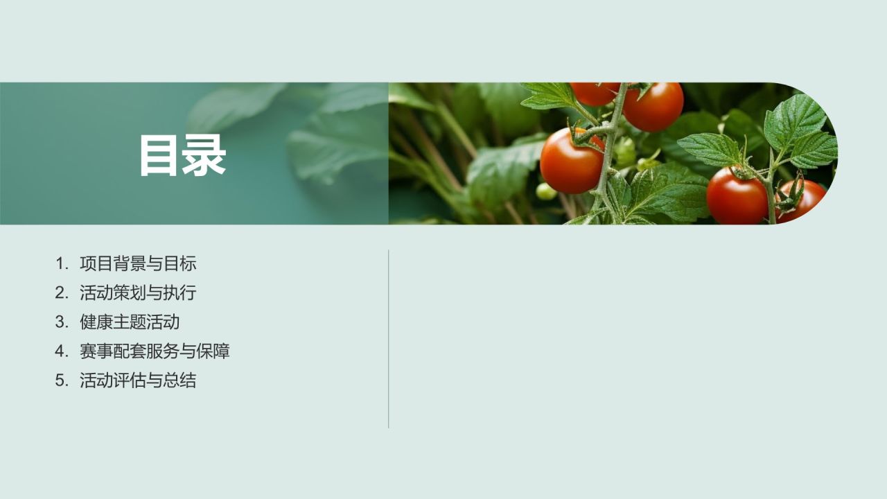 赛事健康营销策划