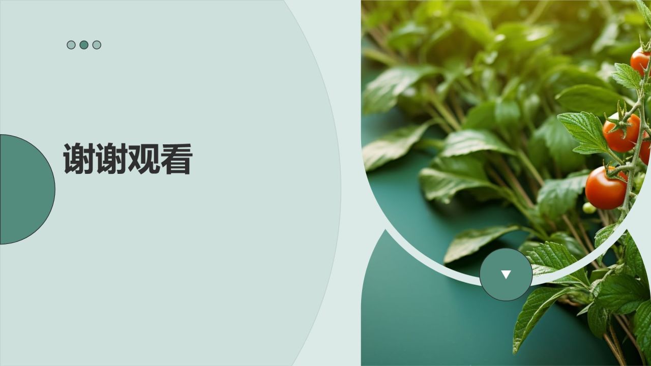 赛事健康营销策划