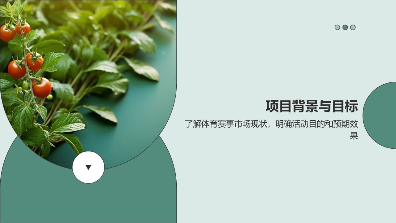 赛事健康营销策划