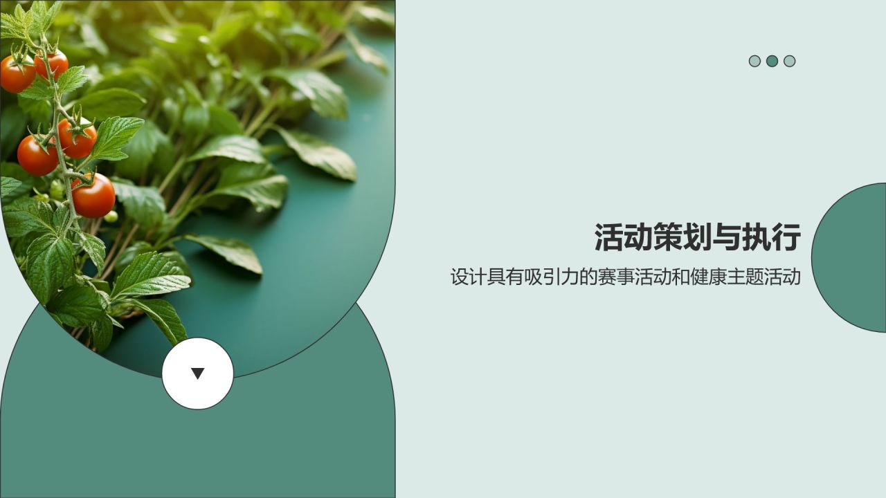 赛事健康营销策划