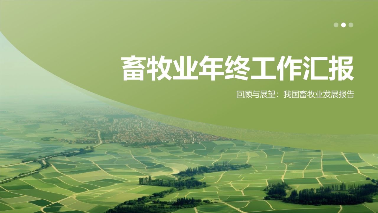 畜牧业年终工作汇报