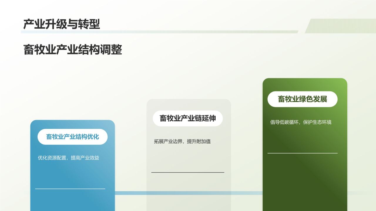 畜牧业年终工作汇报