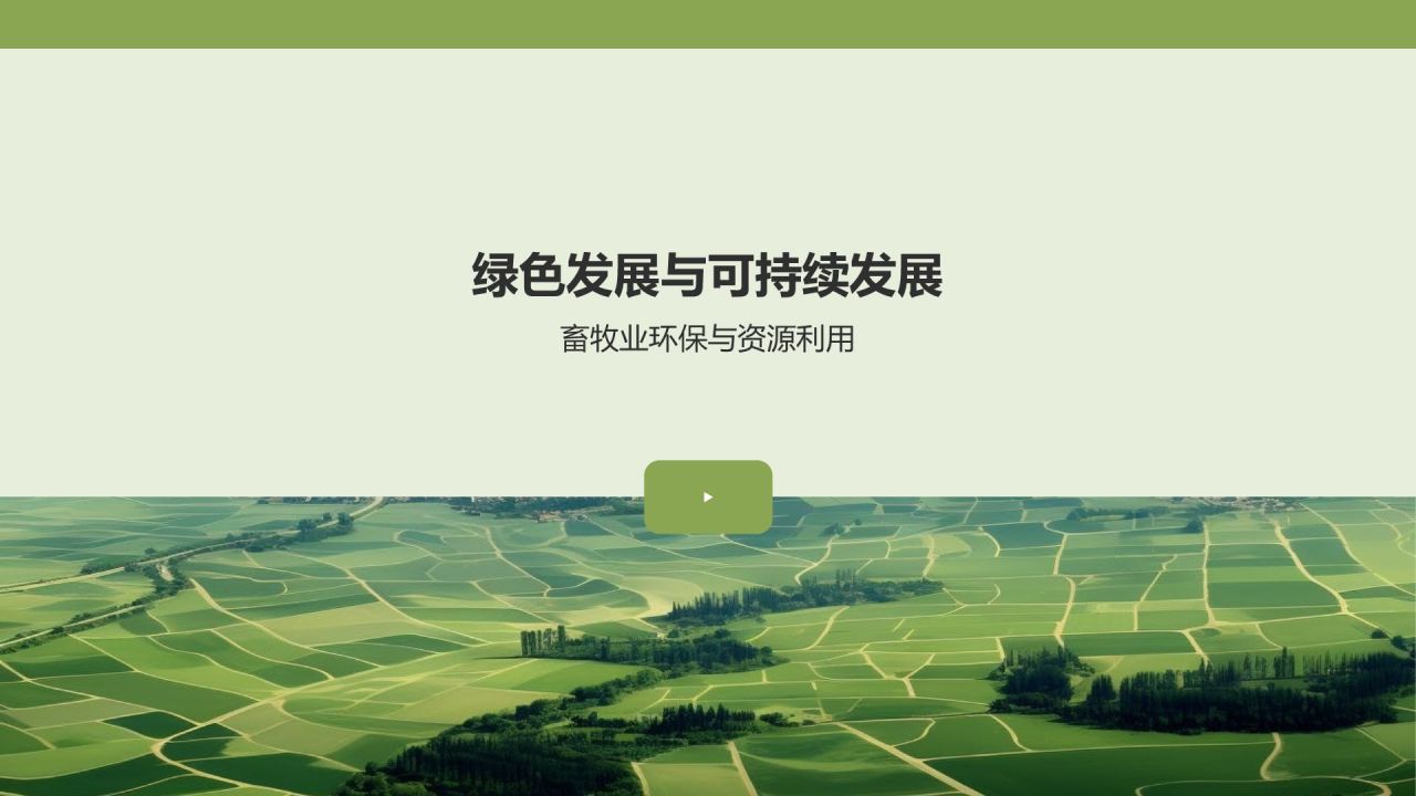 畜牧业年终工作汇报