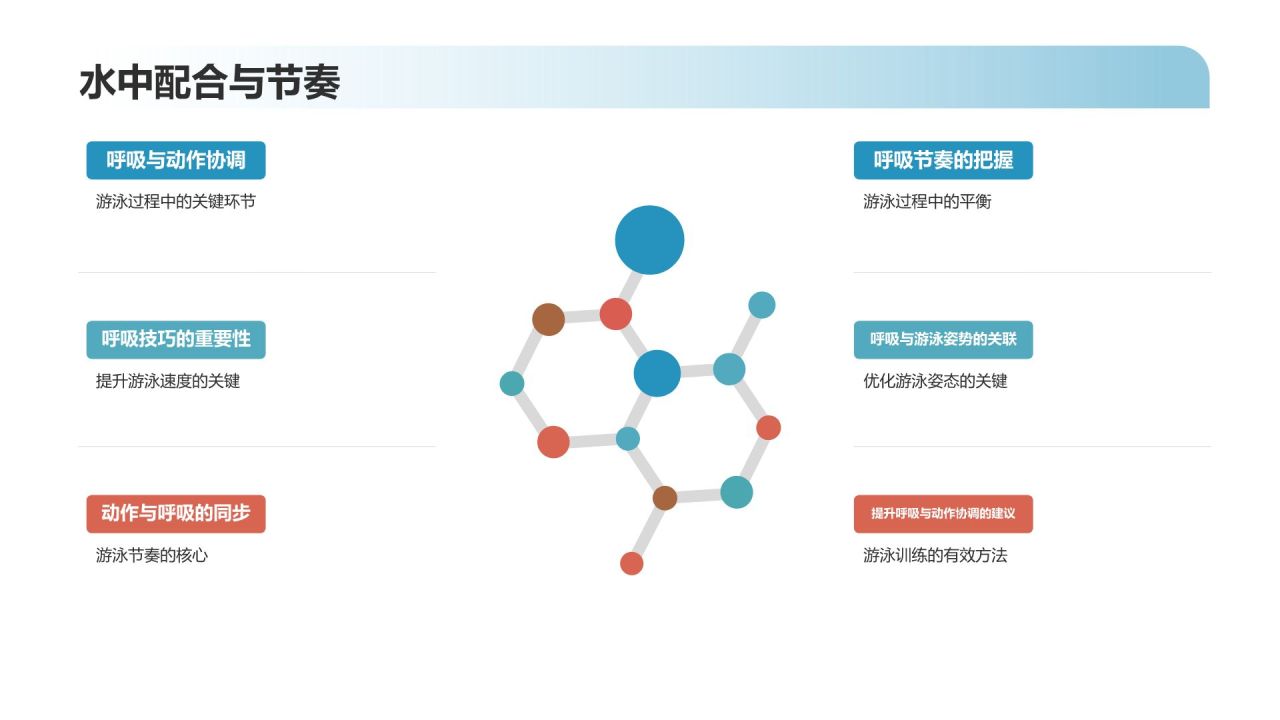 【游泳训练指南】