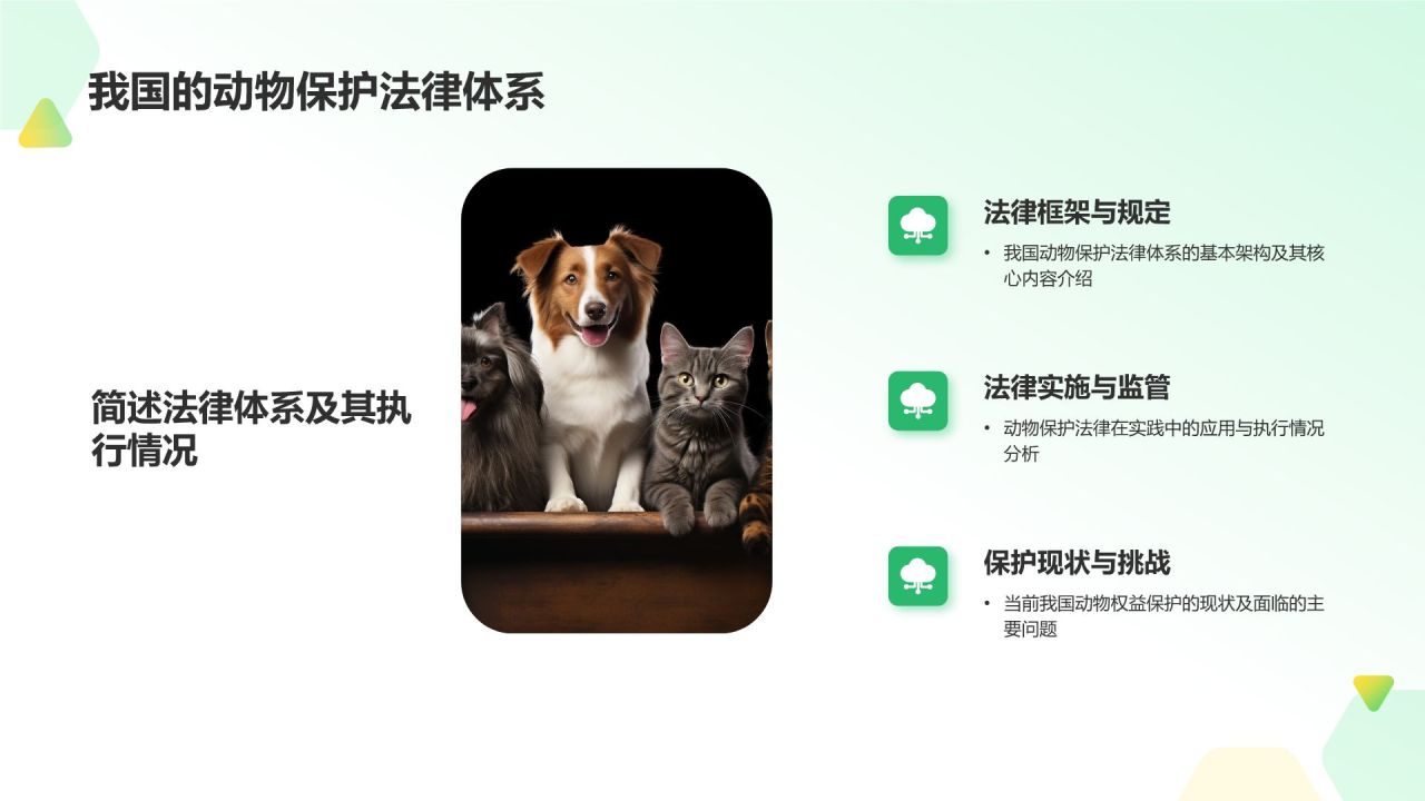 绿色摄影风动物保护知识科普PPT模板
