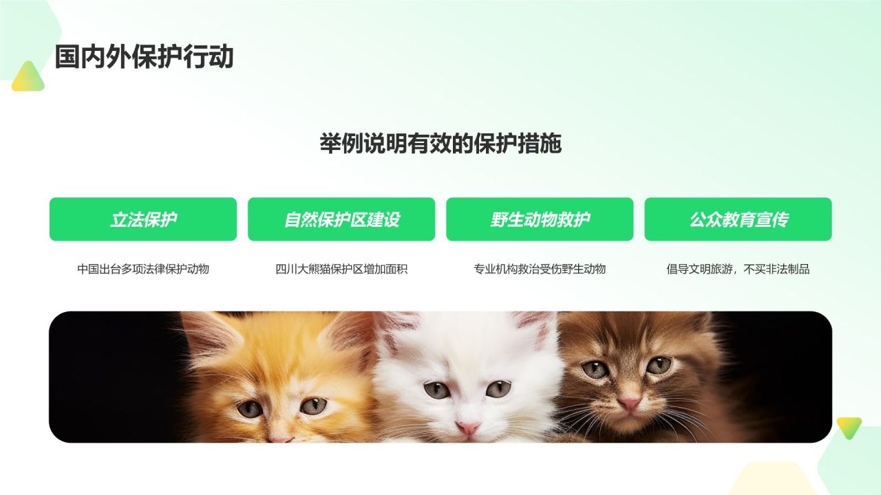 绿色摄影风动物保护知识科普PPT模板