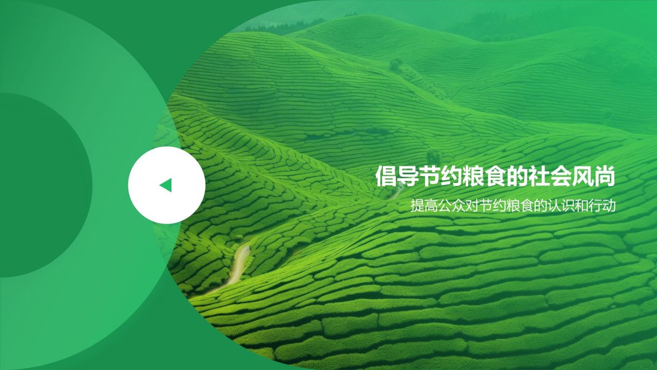 绿色摄影风节约粮食PPT模板