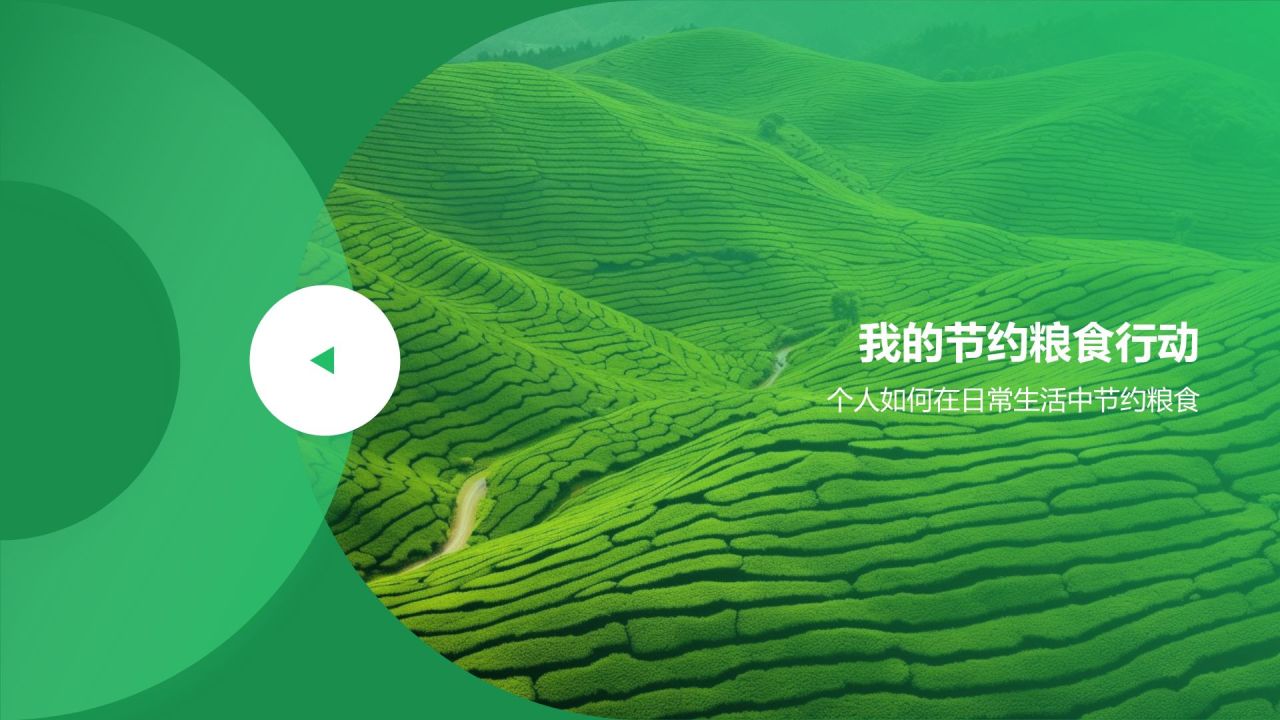 绿色摄影风节约粮食PPT模板