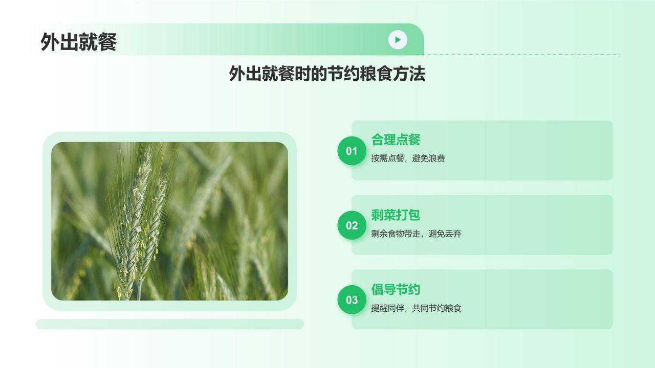 绿色摄影风节约粮食PPT模板