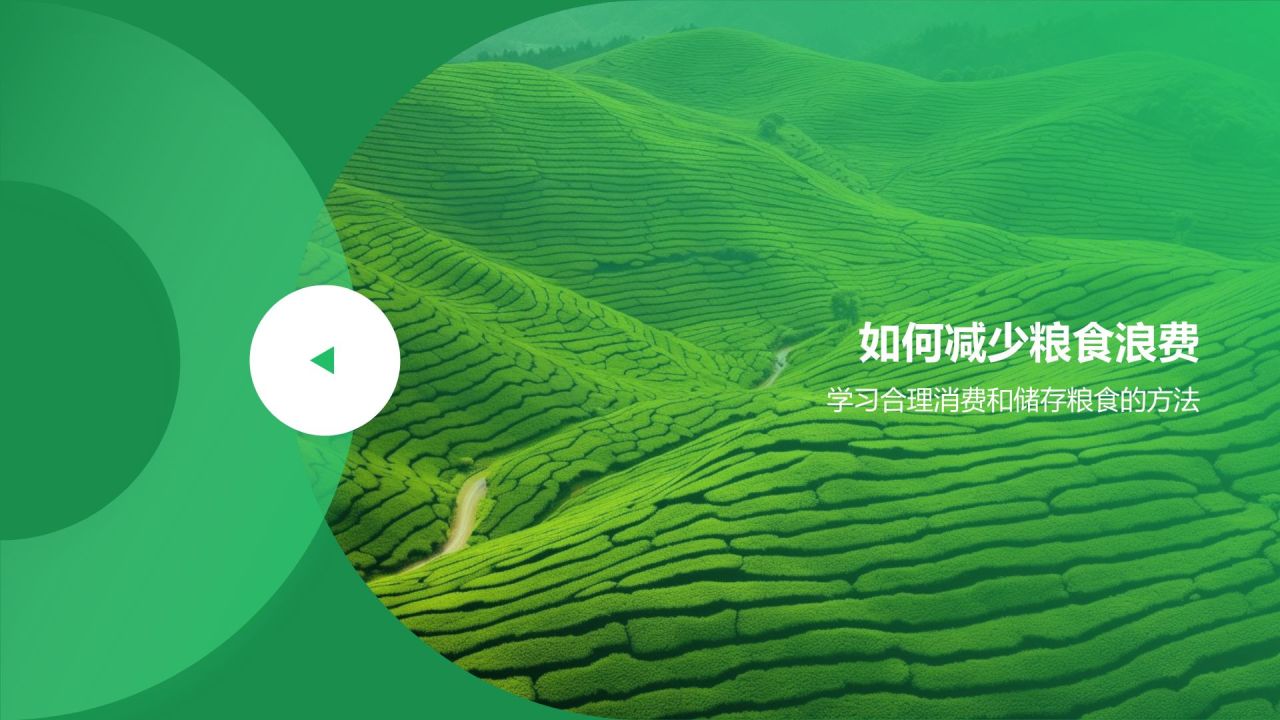 绿色摄影风节约粮食PPT模板