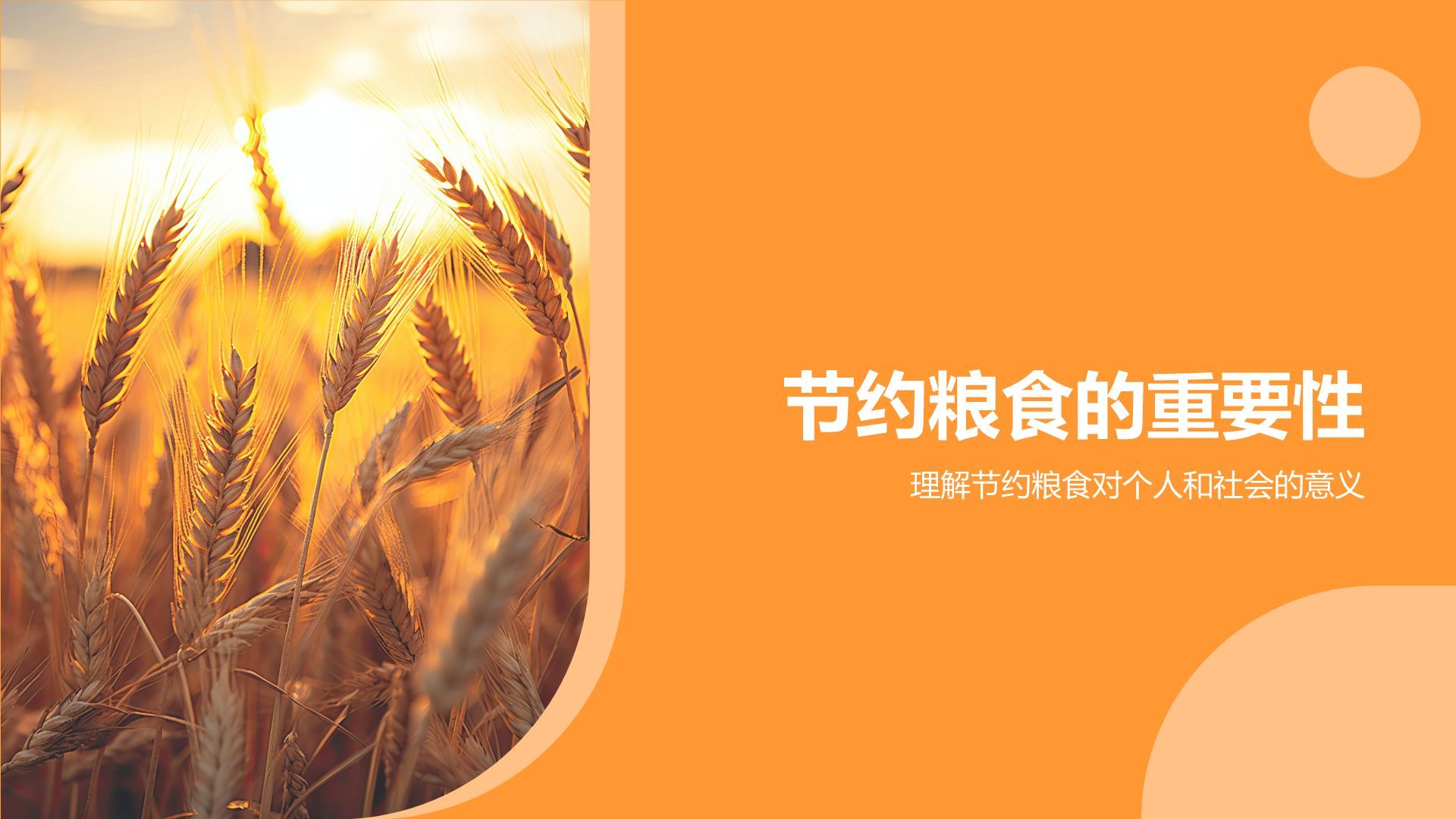 橙色商务风节约粮食PPT模板