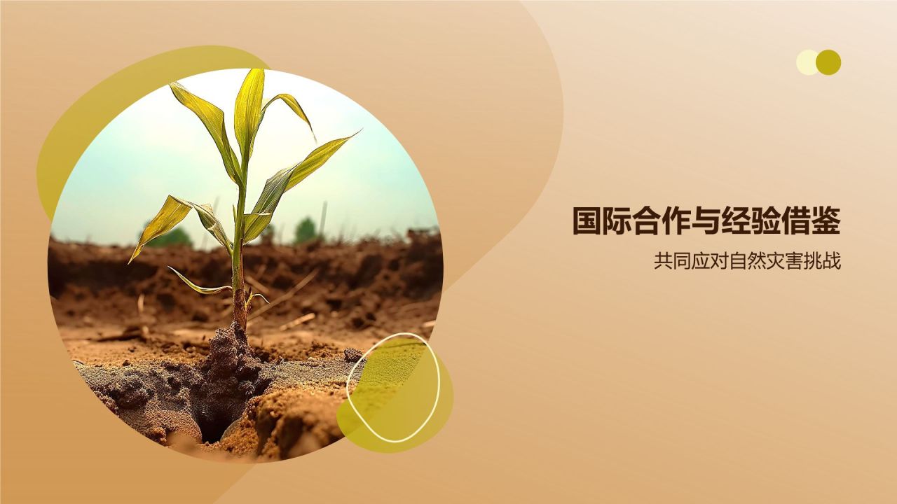 橙色摄影风自然灾害防范PPT模板