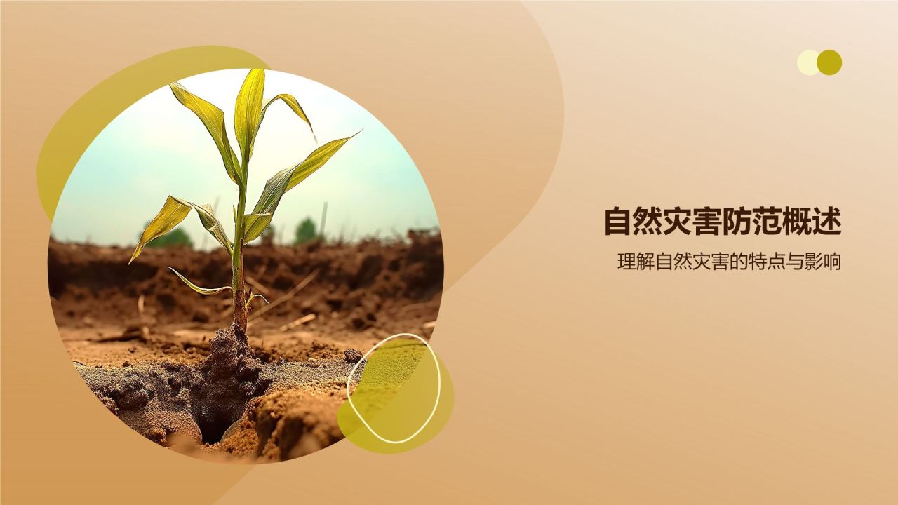橙色摄影风自然灾害防范PPT模板