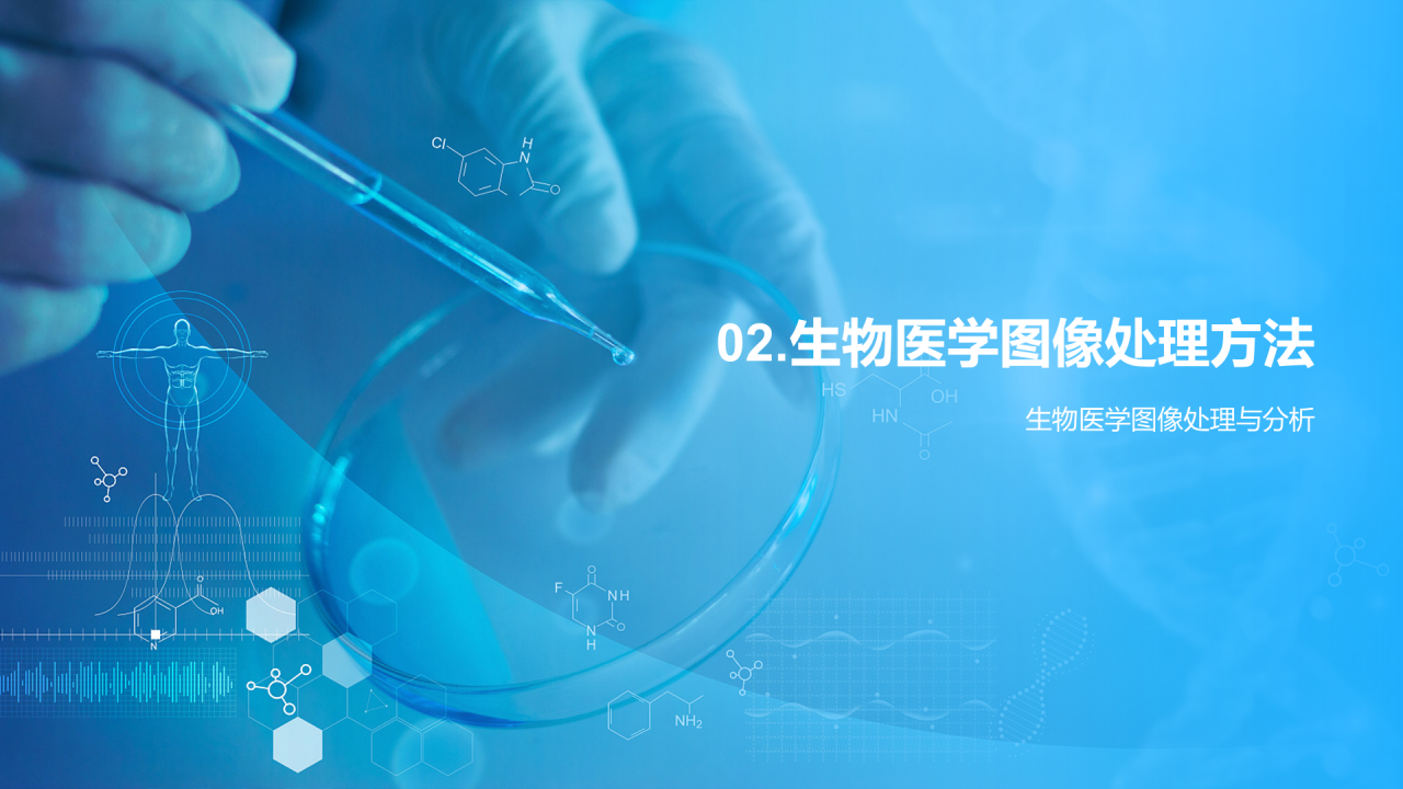 蓝色简约现代生物医学图像PPT模板