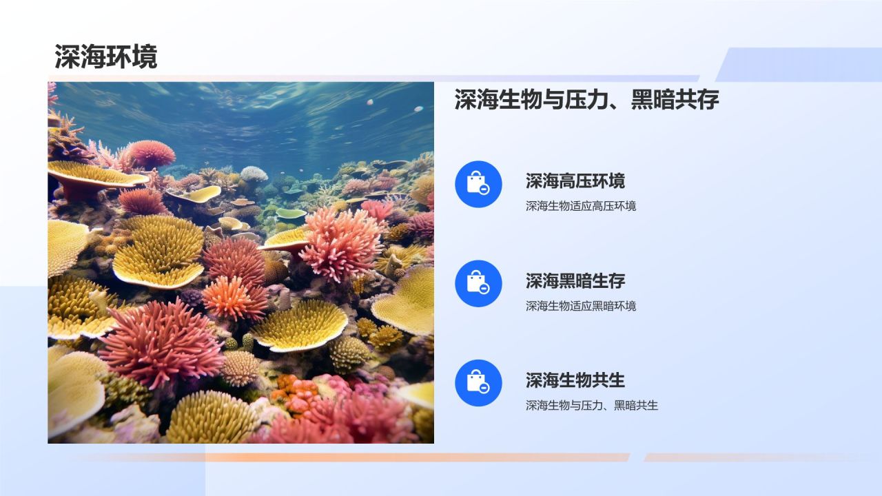 蓝色摄影风海洋生物知识科普PPT模板