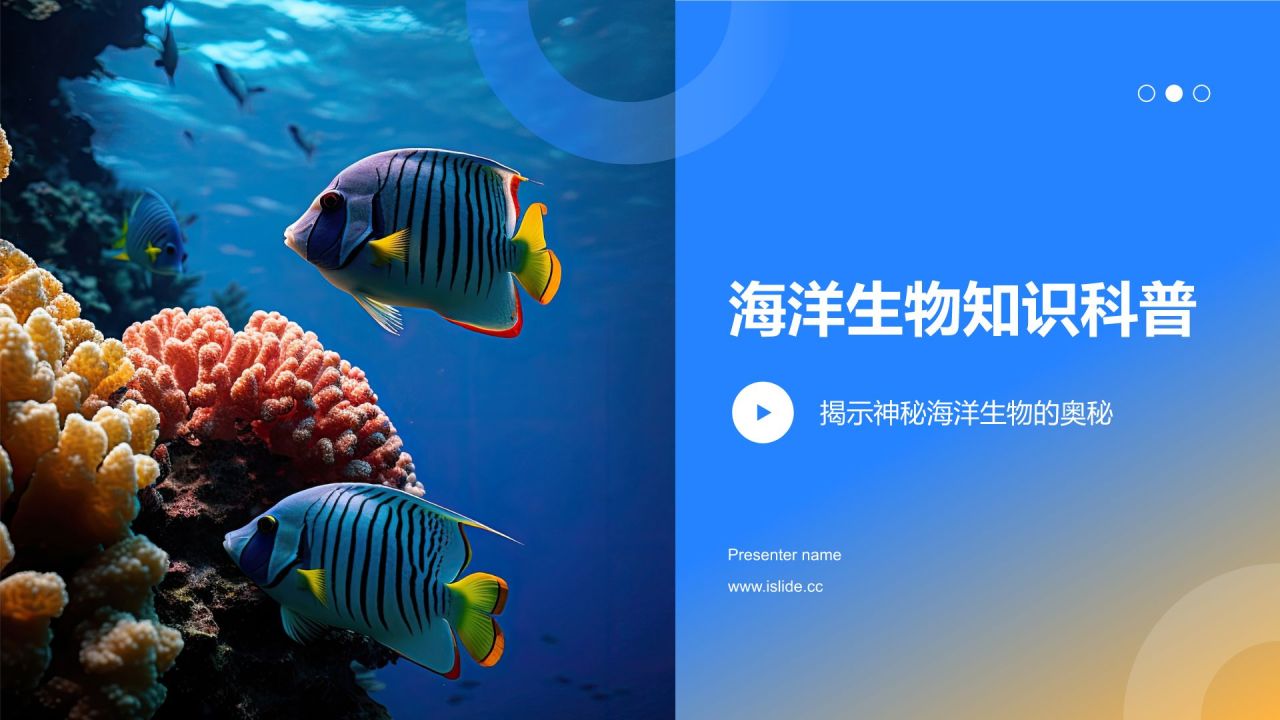 蓝色摄影风海洋生物知识科普PPT模板