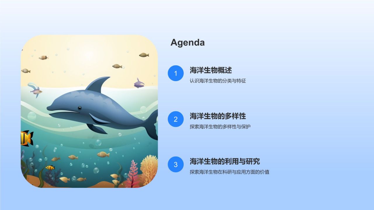 蓝色摄影风海洋生物知识科普PPT模板